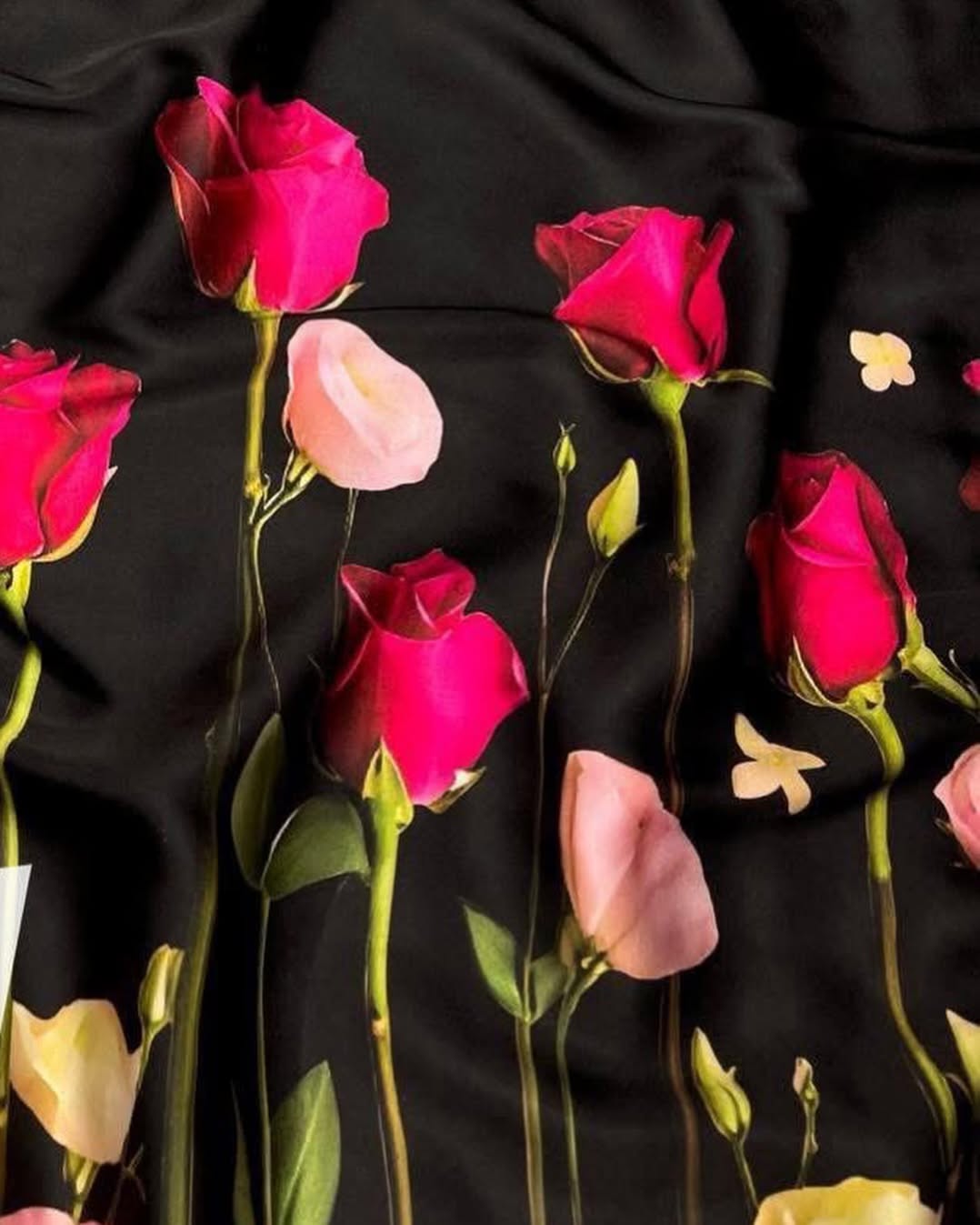 Rose Kurti